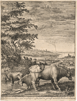 Los 5127 - Hondius, Hendrick - Kühe am Wasser - 0 - thumb