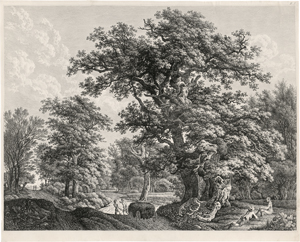 Los 5282 - Kolbe, Carl Wilhelm - Waldlandschaft mit zwei großen Eichen - 0 - thumb