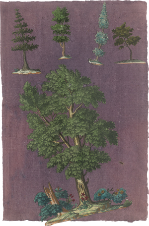 Los 5325 - Papierantiquitäten - 18. Jh. Ca. 58 silhouettierte Darstellungen: Kartuschen, Figuren, Tiere, Pflanzen - 0 - thumb