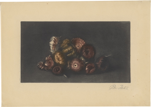 Los 5354 - Ilsted, Peter - Herbstliche Blüten - 0 - thumb
