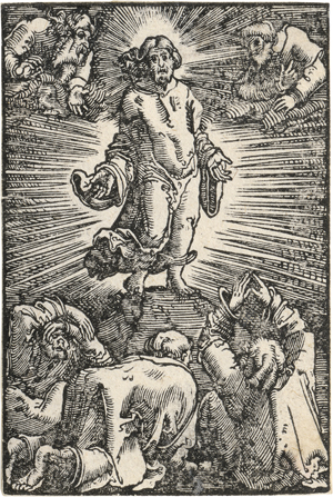 Los 5432 - Altdorfer, Albrecht - 9 Darstellungen aus "Der Sündenfall und Erlösung des Menschengeschlechts" - 0 - thumb