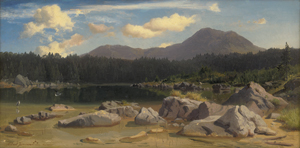 Los 6096 - Zimmermann, Albert August - Voralpenlandschaft mit Weiher - 0 - thumb