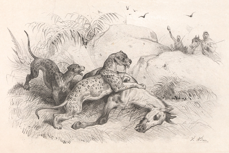 Lot 45, Auction  127, Castillon, M und Adam, Victor, Chasses en Afrique