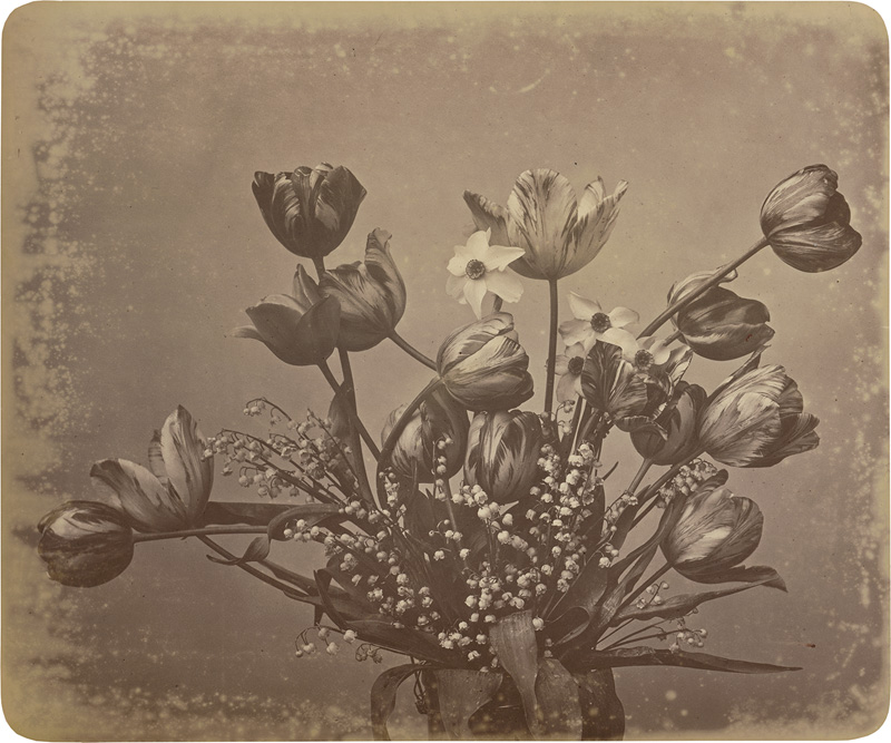 Lot 4027, Auction 127, Braun, Adolphe, Flower study