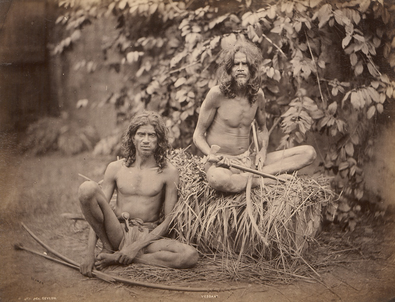Lot 4039, Auction 127, Ceylon, People and Landscapes of Ceylon