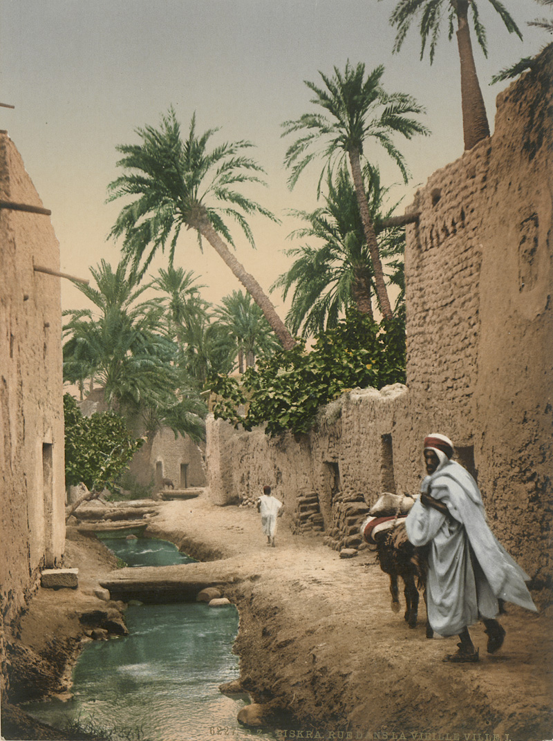 Lot 4101, Auction 127, Photochromes, Views of Tunisia and Algeria