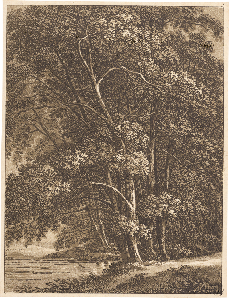 Lot 5349, Auction 127, Günther, Christian August, Charakteristische Darstellung der meisten deutschen Hölzer...