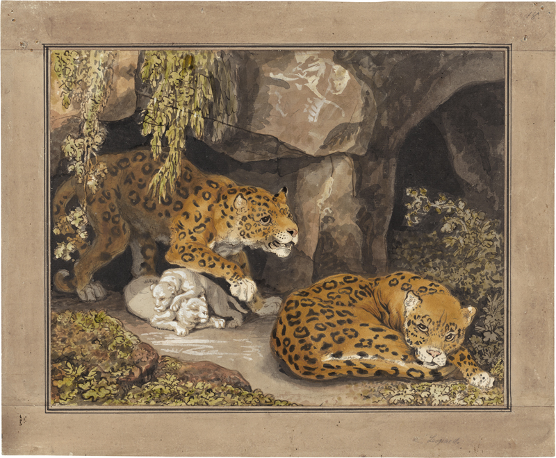 Lot 6359, Auction 127, Tischbein, Johann Heinrich Wilhelm, Zwei Leoparden mit ihren Jungen vor einer Höhle