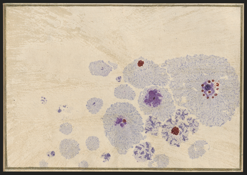 Lot 6721, Auction 127, Pirchan, Emil, Komposition in Blassblau, Lila und Korallenrot